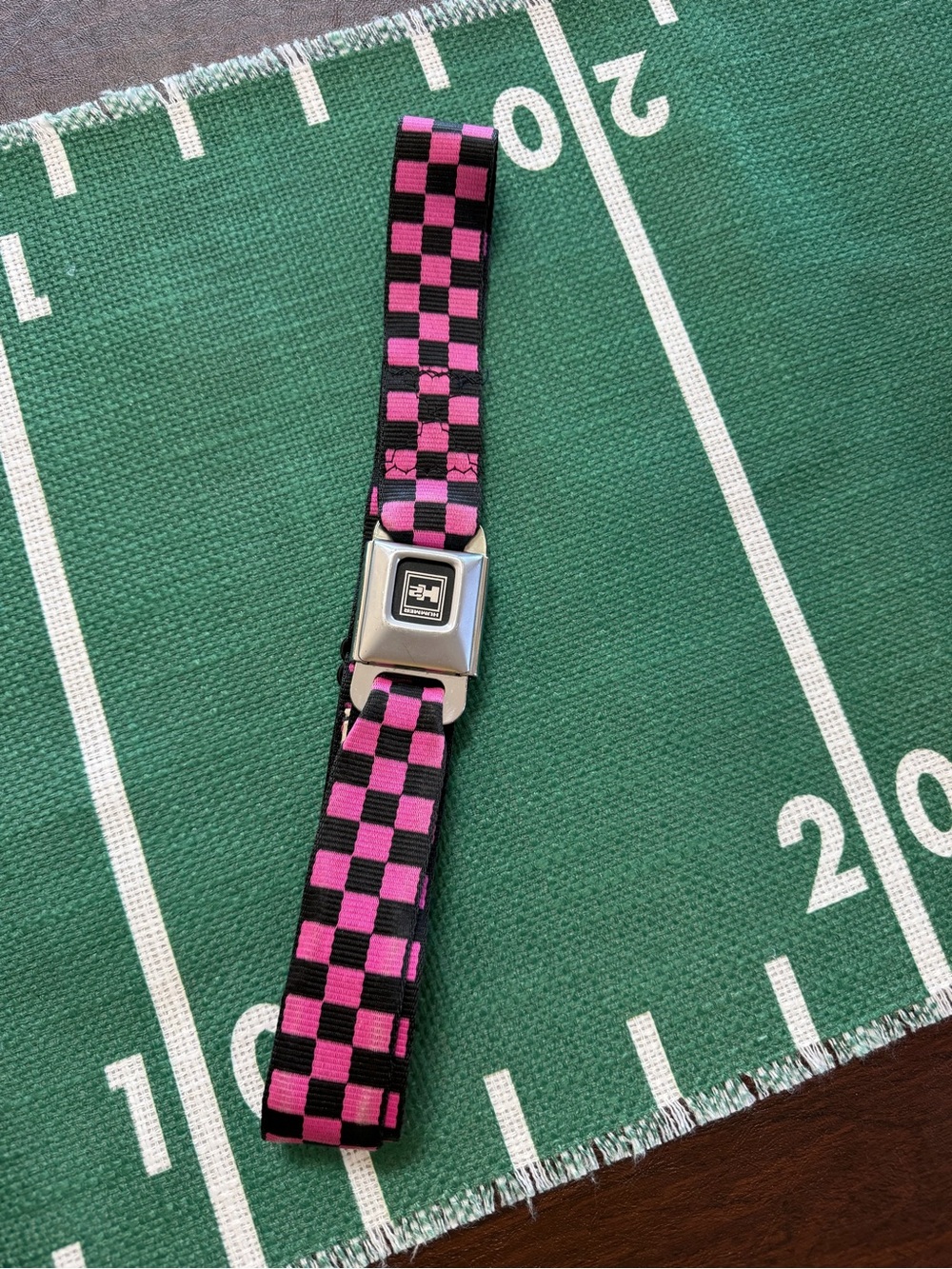 Seat Belt Buckle